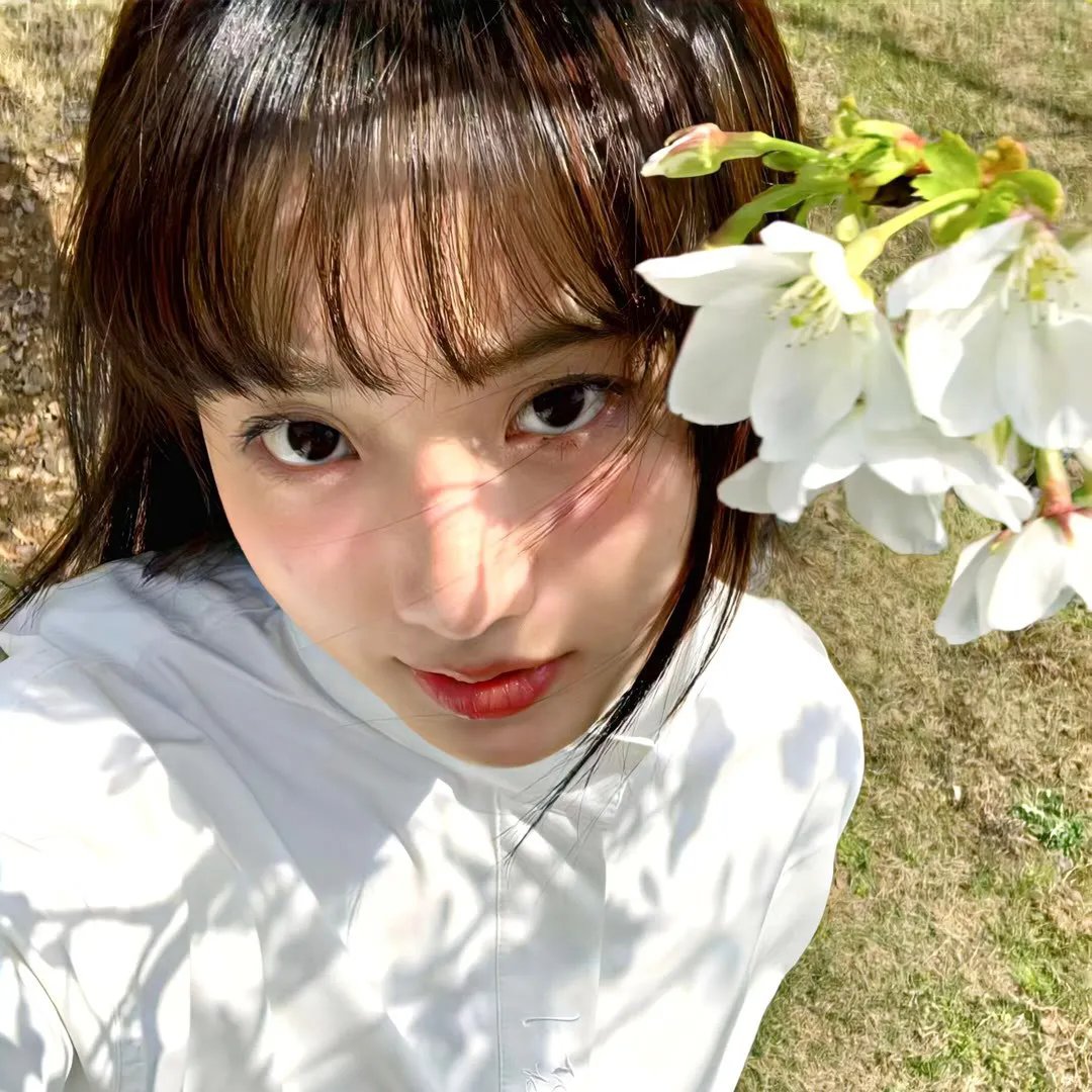 愤怒的蝴蝶