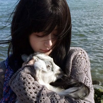 暗芝居第七季